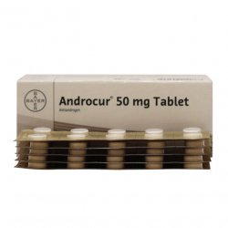 Андрокур (Ципротерон) таблетки 50мг №50 в Абакане и области фото